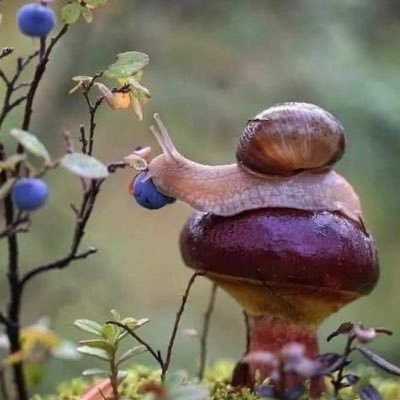 🏳️🌈 Pädagogin ~ InsoFa ~ EPB ~ Töchter ~ Dackelliebe ~ thirtysomething ~ Natur ~ Landleben ~ Geschichten ~ schreiben/RPGs ~ Ravenclaw ~ motzig