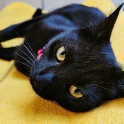 Entity, Optimist, Professional Sceptic and Min. for Bad Things.
https://t.co/X3Wptg5dJt