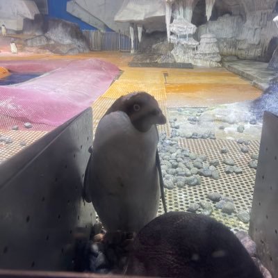 jian78807642's profile picture. 湖北 武汉 有偿 约学生，直男，体育生，喜欢有腹肌的，缺钱 的私信。💰 💰