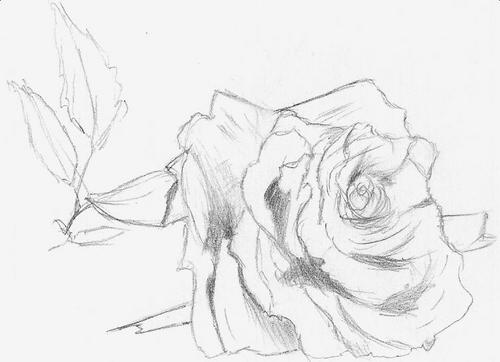 CassioGangrel's profile picture. Nem eu sei direito.