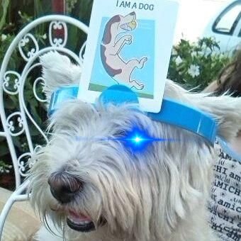 sergioneme's profile picture. 