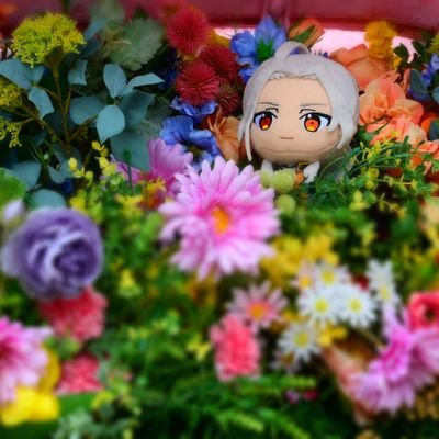 凛さんのプロフィール画像