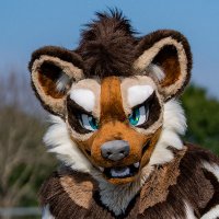 Mocca Wild Dog 🔜 🇹🇼FurMIT (@mocca87481314) 's Twitter Profile Photo Mocca Wild Dog 🔜 🇹🇼FurMIT (@mocca87481314) 's Twitter Profile Photo