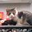 today0117's profile image