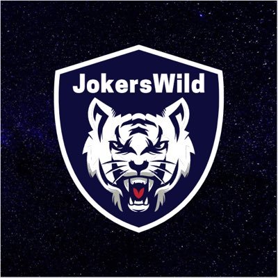 Welcome Everyone to my official Twitter account. Names Matt, if you like Pokémon, Elden Ring, Darksouls and Need for Speed giss us a look Twitch: thisjokerswild