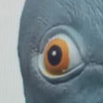 Bedros13012's profile picture. 