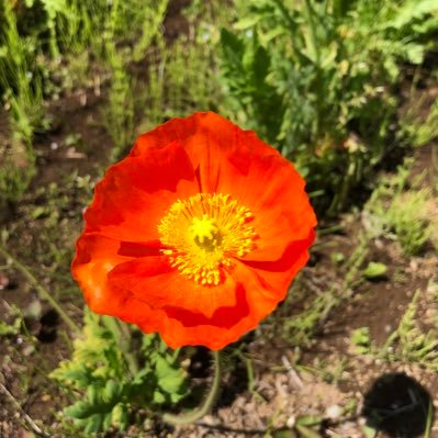 mame_remotework's profile picture. 