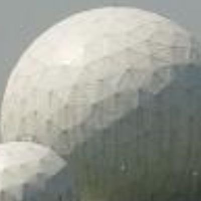 waldecholon's profile picture. read only