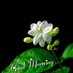 SRSKS THANE (@sramakrishnani9) Twitter profile photo SRSKS THANE (@sramakrishnani9) Twitter profile photo