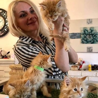 Elizabe68174269's profile picture. Salut à toutes et à tous  animaux domestiques pour adopter par tout en Europe 🇫🇷🇨🇦🇪🇦 et au monde 🌐 fait en livraison gratuit