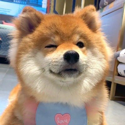 little_huang_bc's profile picture. 
