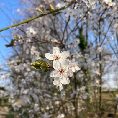 PerignyVillage's profile picture. 