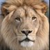 LEÓN 100% (@fan_ilusionado) Twitter profile photo LEÓN 100% (@fan_ilusionado) Twitter profile photo