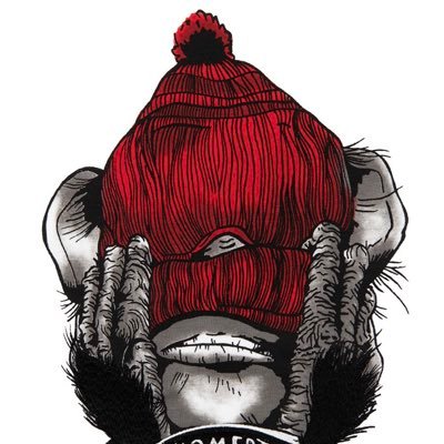 DaVincii161's profile picture. 🇫🇷#Bitcoin | #Developer La rationalité vous mène de A à B. L'imagination vous ménera partout.