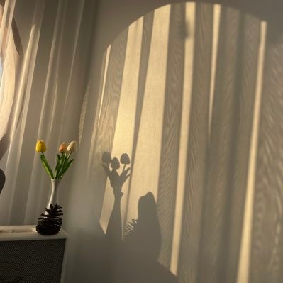 Zba3zLEsJbFnrVN's profile picture. 