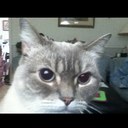 James Runion - @awesomefighter - Twitter