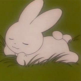 sandokkki's profile picture. 