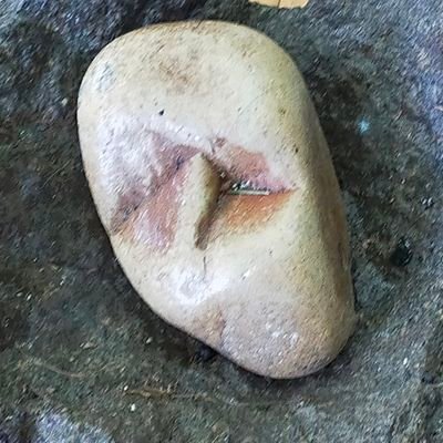 PaulOSu82164093's profile picture. I am a rock. Really like my life. Just take your time and do the lot.
Enjoy open political forums. Keep the dream alive. No DMs or trolls.