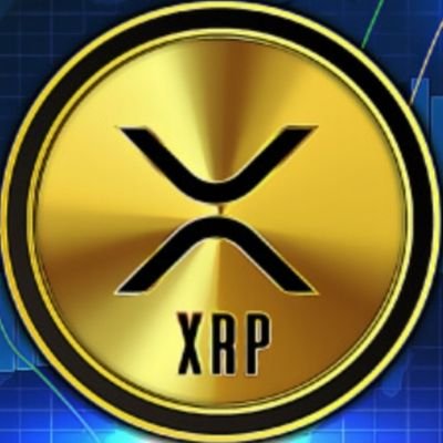 XRProcket2's profile picture. 🦅🌋🚀🏖