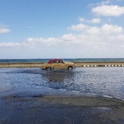 NathalieSauvai1's profile picture. 