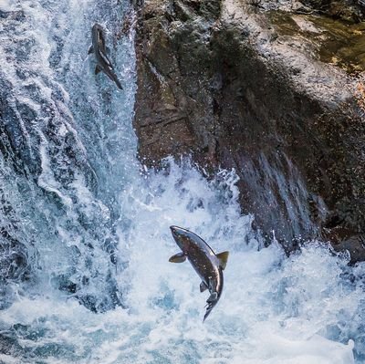 rocking_taher's profile picture. My life, My choices, My mistakes, My lessons, Not your business 🤨