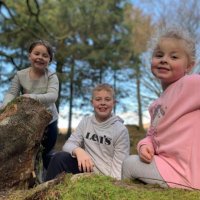 Andrew Farr (@afarr20) 's Twitter Profile