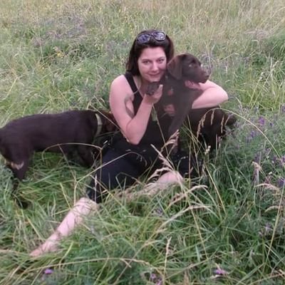 Owner of 2 mental chocolate labradors who are slightly better trained than the husband. Suffering from anxiety and depression screaming for help