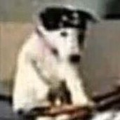 nxjdowosbfu's profile picture. 