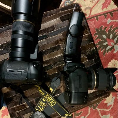 PhotogMp's profile picture. I love 🐕‍🦺🐕‍🦺 and 📸.
ASMP - Greater Florida
Nikon or nothing!