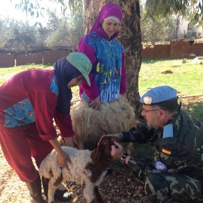 Veterinario y profesor de la Universidad de Córdoba. Comprometido con los valores y trabajo de nuestras Fuerzas Armadas.