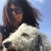 Anita Emery (@anitaemery8) Twitter profile photo Anita Emery (@anitaemery8) Twitter profile photo