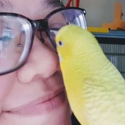Streams video game suff sometimes! Follow at https://t.co/CjZ2xfg1F1!
🎮 Game QA |
🐤 Bird Mom of @CitrusBudgies |
🏳️🌈 Demi/Pan