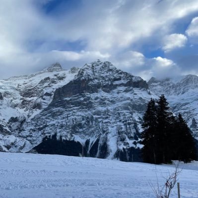 Biotechnologist👩🏻🔬🧬🧫 ~ 🇵🇸 📍🇨🇭 ~ UoM graduate 🐝🇬🇧 ~ PhD candidate @ ETHZ 🇨🇭