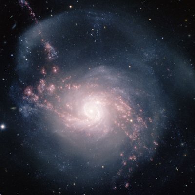 Tatiana10213's profile picture. 