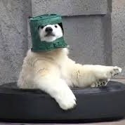 구독해도될까요감사합니다당신은짱이에요さんのプロフィール画像