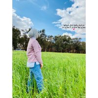 Alas Masoud (@alasmasoud) Twitter profile photo