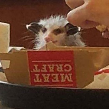 beckykayex's profile picture. 18+ ❤️ I WILL NO LONGER BE POSTING ON MY SITES!