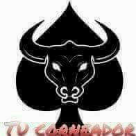 corneadores en busca de cornudos sumisos en cali, bbw culonas y hasta sumisas nos gusta conocer parejas cuckold somos un blanco y un negro experimentados