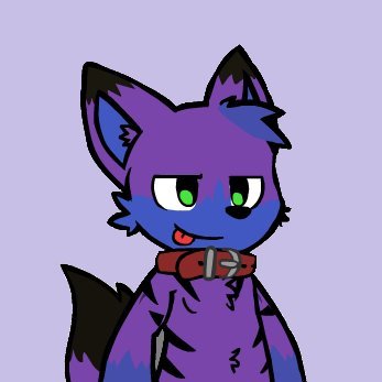 Plush_Neko's profile picture. Catboy in need of bonks.