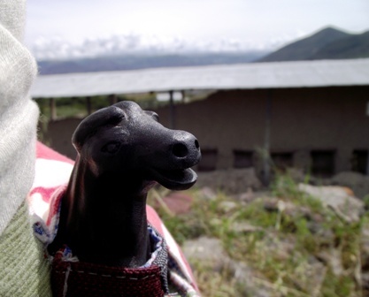 cristinaevang's profile picture. Cat lover.