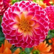 Haluk1789's profile picture. Önce ÎNSAN olmak, olabilmek lazim. Sonra ADÎL olmali insan. Herkese eşit davranmalı.Allah’a kul olmalı.