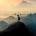 Marc_5858 - @Marcos_Millan3 - Twitter