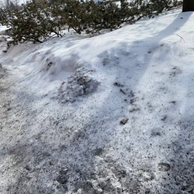 AlexaMimifue's profile picture. 