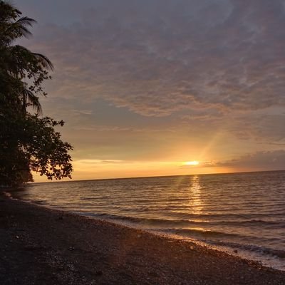 AshyBaby__'s profile picture. 