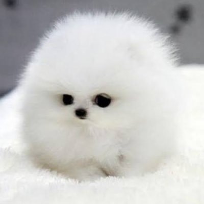 TAKq51XKKLGPc80's profile picture. 性癖のクセが強いと言われ続け15年… 裏アカつくってみました。 気楽に絡んでくださいませ。その他旅行や車が趣味です