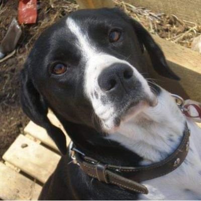 herbalarium's profile picture. 