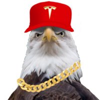 Bruce McCain (@bmactc) 's Twitter Profile