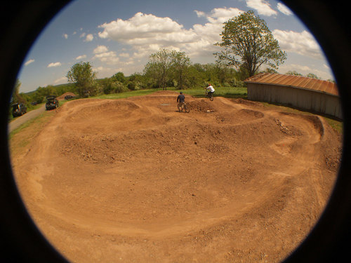 Alexandria_PT's profile picture. 