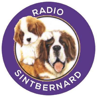 ik ben dj bertus -digital op radio sintbernard en hou veel van muziek ,ik draai muziek voor jong en oud wereld wijd en tijd nieuwe hits elke week erbij .