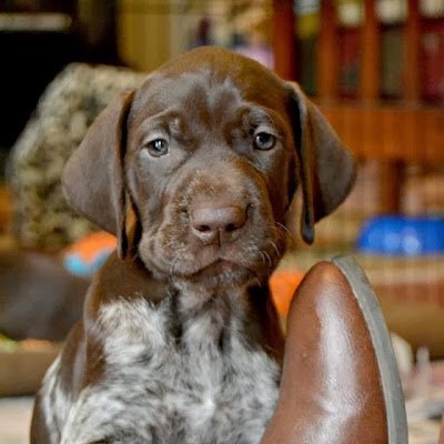 Janbudnick's profile picture.